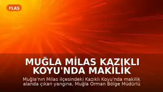 Muğla Milas Kazıklı Koyu'nda Makilik Alanda Yangın