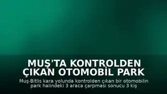 Muş'ta Kontrolden Çıkan Otomobil Park Halindeki Araçlara Çarptı: 3 Yaralı