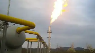 Rusya Ekonomik Kalkınma Bakanı Reşetnikov: "Rusya'nın ASEAN ülkelerine enerji tedariki ilk çeyrekte yüzde 40 arttı"