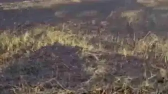 Şanlıurfa Siverek'te Arazi Yangını: 3 Yaralı ve Büyük Maddi Hasar