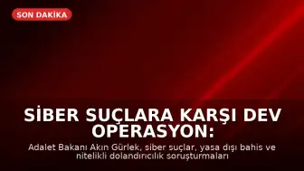Siber Suçlara Karşı Dev Operasyon: 221 Gözaltı Kararı