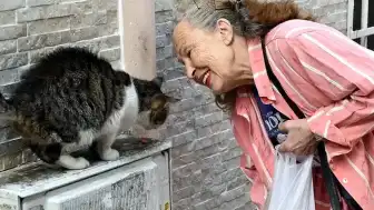 Sinema Oyuncusu ve Hayvan Hakları Savunucusu Emel Yıldız Son Yolculuğuna Uğurlandı