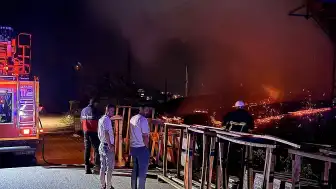 Sinop'ta Orman Ürünleri Fabrikasında Yangın: Depo Bölümü Zarar Gördü