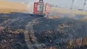 Şırnak'ın Silopi ilçesinde buğday ekili arazide yangın: 10 dönüm alan zarar gördü