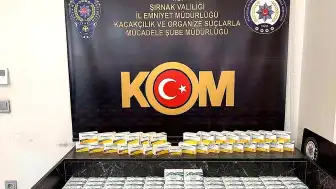 Şırnak'ta 2,5 Milyon Liralık Kaçak Tıbbi Ürün Operasyonu: 2 Gözaltı