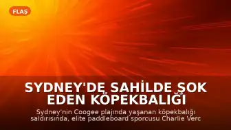 Sydney'de Sahilde Şok Eden Köpekbalığı Saldırısı: Paddleboard'cu Kadını Kurtardı