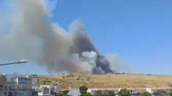 Türkiye Genelinde Yangın Hareketliliği: İzmir ve Bursa'da Alevlerle Mücadele Sürüyor