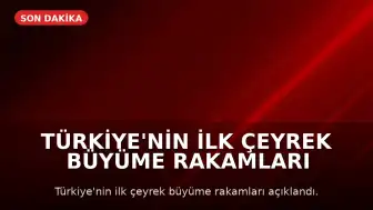 Türkiye'nin İlk Çeyrek Büyüme Rakamları Açıklandı: Bilgi ve İletişim Sektörü Öne Çıktı