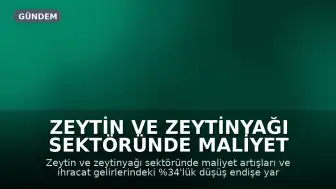 Zeytin ve Zeytinyağı Sektöründe Maliyet ve İhracat Kaygısı
