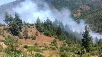 Adana'nın Feke İlçesinde Orman Yangını Çıktı