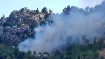 Alanya'da Zirai Alandaki Yangın Kontrol Altına Alındı