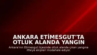 Ankara Etimesgut'ta Otluk Alanda Yangın Çıktı