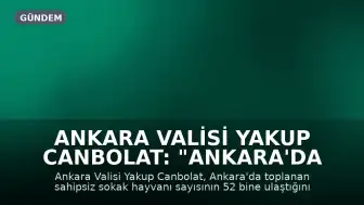 Ankara Valisi Yakup Canbolat: "Ankara'da toplanan sahipsiz sokak hayvanı sayısı 52 bine ulaştı"