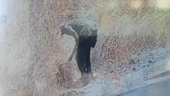 Ankara'da Ot Yangını Kundaklama Çıktı: Güvenlik Kamerası Kaydetti