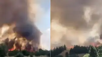 Ankara'da Otluk Alanda Çıkan Yangın Söndürüldü