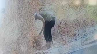 Ankara'da Otluk Alanda Çıkan Yangının Şüphelisi Güvenlik Kamerasına Yansıdı