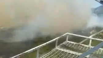 Aydın Kuyucak'ta Orman Yangını Çıktı