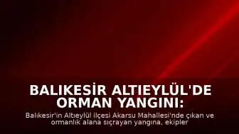 Balıkesir Altıeylül'de Orman Yangını: Müdahale Devam Ediyor