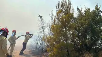 Balıkesir Gömeç'te Orman Yangınına Havadan ve Karadan Müdahale Sürüyor