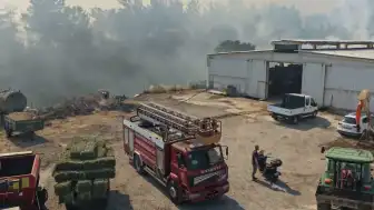 Balıkesir'de Yangınlar: Karesi Kontrol Altına Alındı, Altıeylül'de Müdahale Sürüyor