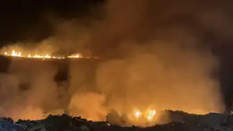 Bodrum Ortakent'te Maki ve Otluk Yangını: Müdahale Devam Ediyor