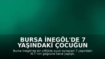 Bursa İnegöl'de 7 Yaşındaki Çocuğun Göğsüne Kene Yapıştı