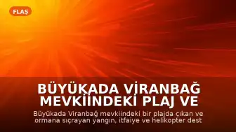 Büyükada Viranbağ Mevkiindeki Plaj ve Orman Yangını Kontrol Altına Alındı
