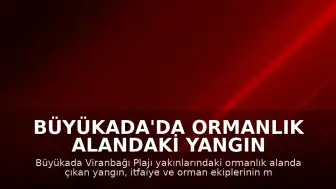 Büyükada'da Ormanlık Alandaki Yangın Kontrol Altına Alındı