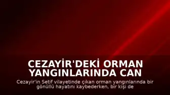 Cezayir'deki Orman Yangınlarında Can Kaybı ve Yaralanma Bildirildi