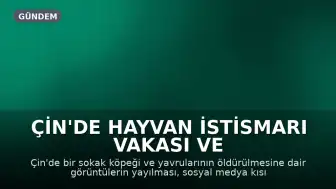 Çin'de Hayvan İstismarı Vakası ve Sansür Tartışmaları