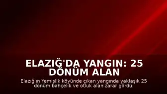 Elazığ'da Yangın: 25 Dönüm Alan Zarar Gördü