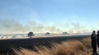 Eskişehir'de Yangın 3 Köy Ovasına Yayıldı, Ormana İlerliyor