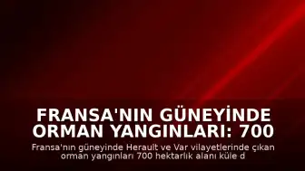 Fransa'nın güneyinde orman yangınları: 700 hektarlık alan küle döndü