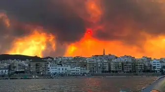İspanya Almeria'daki Orman Yangınında Can Kaybı Artıyor: En Az 11 Ölü
