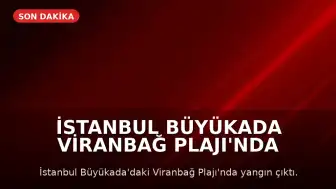 İstanbul Büyükada Viranbağ Plajı'nda Yangın Çıktı