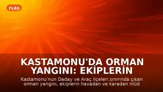 Kastamonu'da Orman Yangını: Ekiplerin Müdahalesiyle Kontrol Altına Alındı