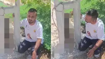 Kırıkhan'da Köpek Zehirlenerek Elektrik Direğine Asıldı