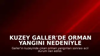 Kuzey Galler'de Orman Yangını Nedeniyle Acil Durum İlan Edildi