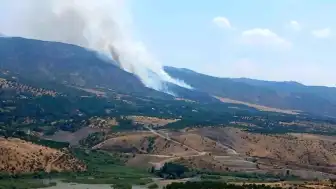 Malatya Pütürge'de Orman Yangını Çıktı