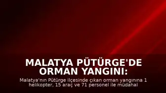 Malatya Pütürge'de Orman Yangını: Ekiplerin Müdahalesi Sürüyor