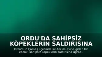 Ordu'da Sahipsiz Köpeklerin Saldırısına Uğrayan Çocuk Güvenlik Kamerasına Yansıdı
