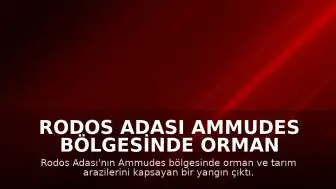 Rodos Adası Ammudes Bölgesinde Orman Yangını Çıktı