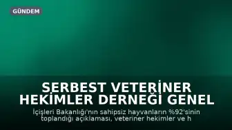 Serbest Veteriner Hekimler Derneği Genel Başkanı Bilsay Kanat: "Bize kaç hayvan toplandığını değil, kaçının yaşatıldığını söyleyin"