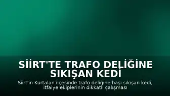 Siirt'te Trafo Deliğine Sıkışan Kedi İtfaiye Tarafından Kurtarıldı
