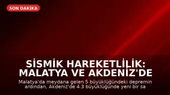 Sismik Hareketlilik: Malatya ve Akdeniz'de Depremler Meydana Geldi