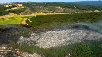 Tekirdağ Malkara'da Orman Yangını: Ekiplerin Müdahalesiyle Kontrol Altına Alındı