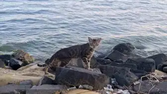 Tekirdağ Süleymanpaşa Sahili Sıcak Hava Nedeniyle Sessizliğe Büründü