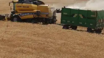 Türkiye Hububat Üretiminde Cumhuriyet Tarihi Rekoru Bekleniyor
