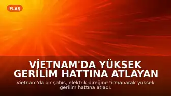 Vietnam'da Yüksek Gerilim Hattına Atlayan Şahıs Hayatını Kaybetti