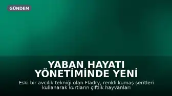 Yaban Hayatı Yönetiminde Yeni Yöntem: Fladry Sistemiyle Kurtlarla Mücadele